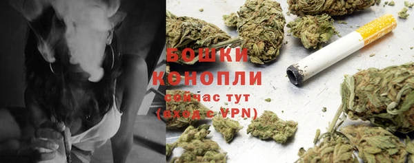 мет Богданович