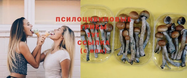 дмт Богородицк