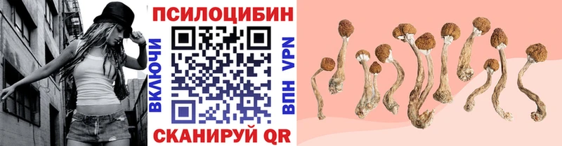kraken вход  Белоярский  Галлюциногенные грибы прущие грибы 